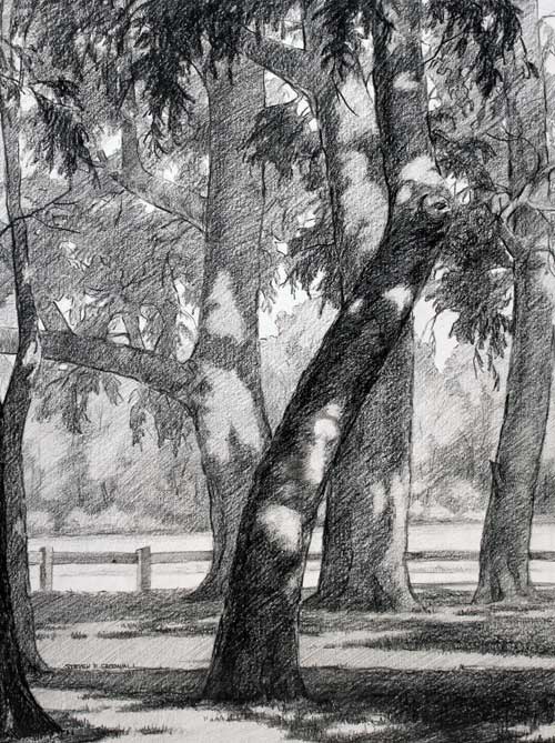 Original art pencil drawing titled Logan Park