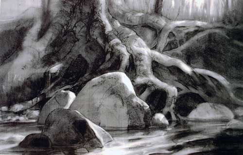 Original art charcoal drawing titled Rocks & Roots